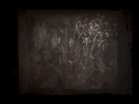 070917-15
