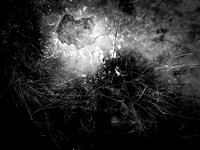 230117-1-3