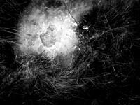 230117-1-1