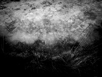 230117-1-14