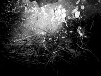 230117-1-5