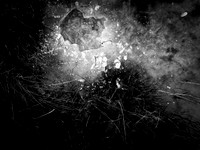 230117-1-6