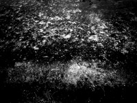 200117-1-15