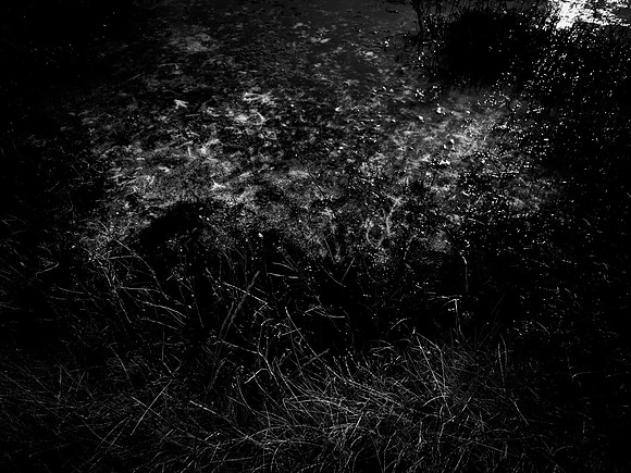 200117-1-36