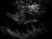 200117-1-10