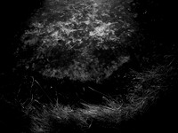 200117-1-9
