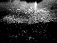200117-1-19