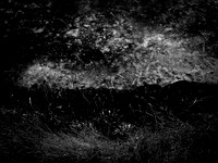 200117-1-13