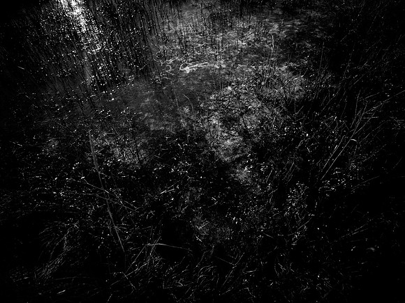200117-1-38
