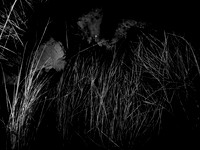 200117-2-5