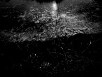 200117-1-20