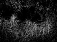 200117-2-14