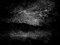 200117-1-3