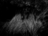 200117-2-17