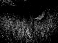 200117-2-11