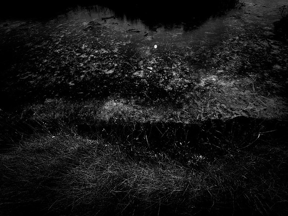 200117-1-29