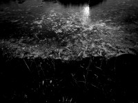 200117-1-2