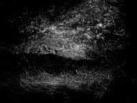200117-1-4