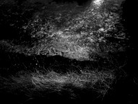 200117-1-5