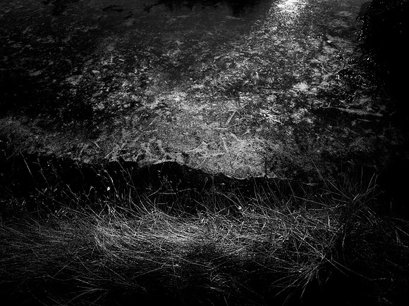 200117-1-5
