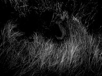 200117-2-15