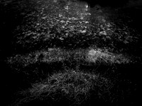 200117-1-6