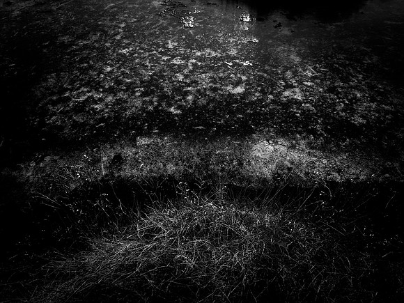 200117-1-6
