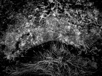 200117-2-19