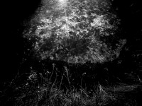 200117-1-7