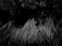 200117-2-16
