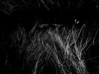 200117-2-10