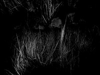 200117-2-6