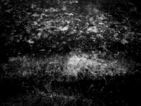 200117-1-16