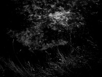 200117-1-11