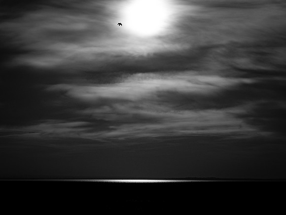 280817-8