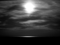 280817-6