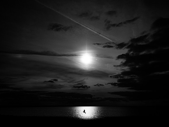 240817-10