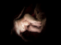 010916-1-2-6