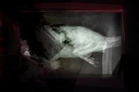 020417-2-12