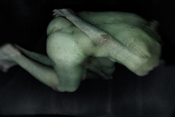 280314 #337-5