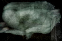 250314 #176-16-3