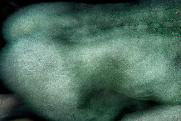 250314 #176-16-2-2