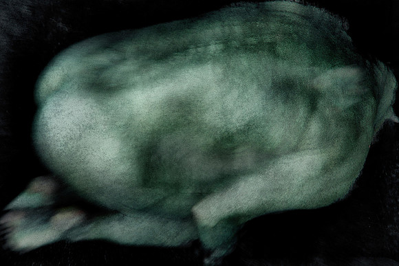 250314 #176-16-4