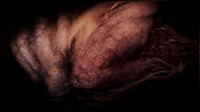200116-4-9