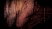 200116-4-16