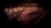 200116-4-18