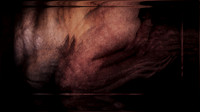 200116-4-17