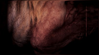 200116-4-15