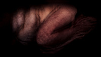 200116-4-2