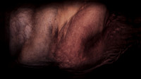 200116-4-3